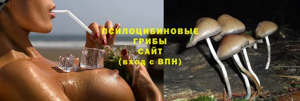 герыч Переславль-Залесский