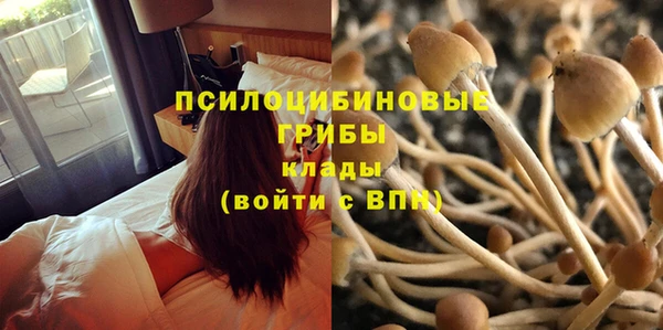герыч Переславль-Залесский